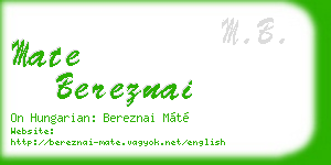 mate bereznai business card